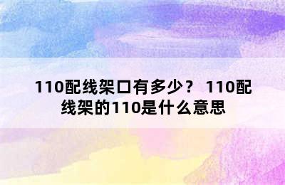 110配线架口有多少？ 110配线架的110是什么意思